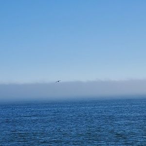 Meet your Posher, Inna